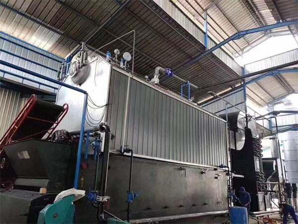 Coal/Biomass fired double drum steam boiler