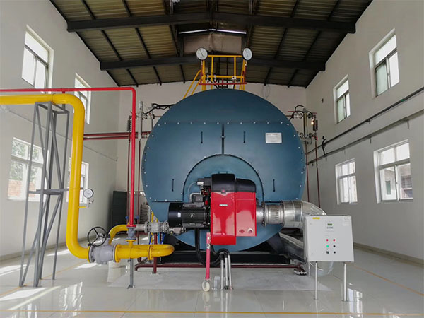 10Ton/h Gas&Diesel boiler in West Africa